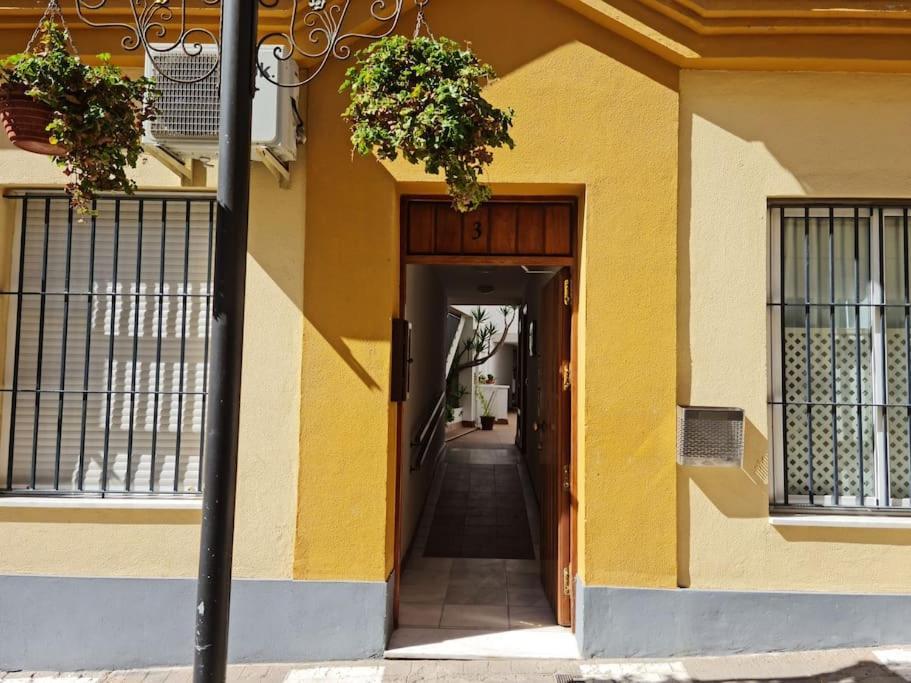 Apartamento Centro Rota. 2 Minutos De La Playa.. Exteriér fotografie